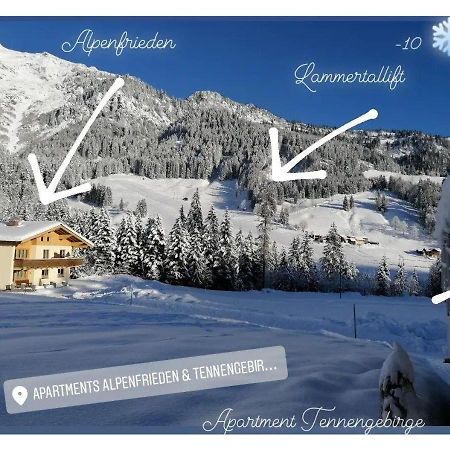 Apartment Tennengebirge 상트마틴암테넨게비르게 외부 사진