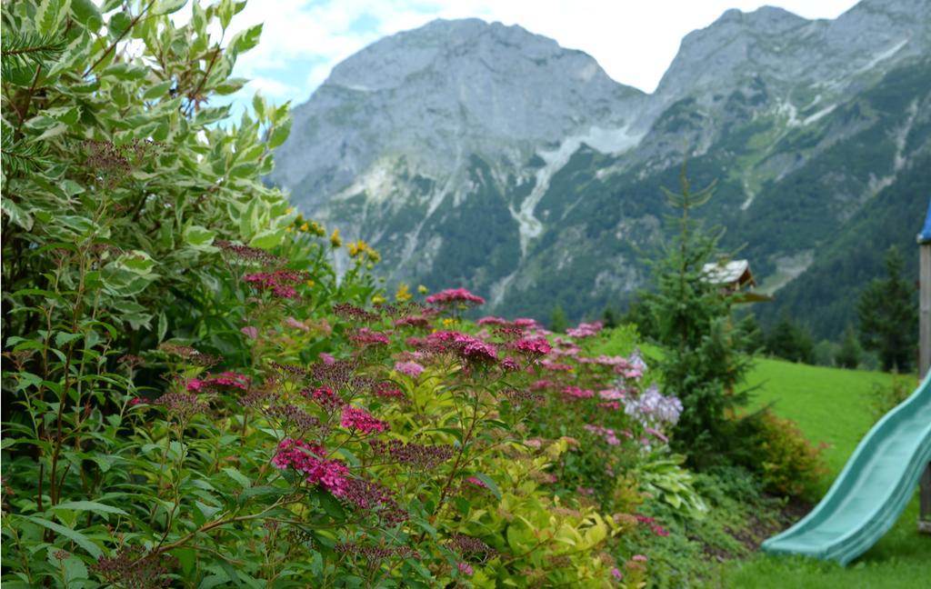 Apartment Tennengebirge 상트마틴암테넨게비르게 외부 사진